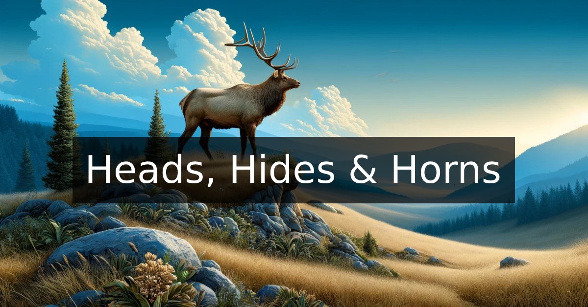 A thumbnail image for Heads, Hides & Horns