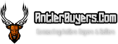 The AntlerBuyers.Com Logo - Click To Go To The AntlerBuyers.Com Homepage