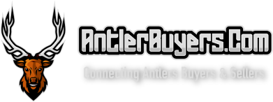 The AntlerBuyers.Com Logo - Click To Go To The AntlerBuyers.Com Homepage.